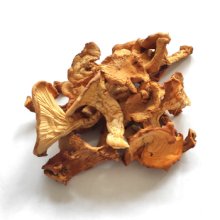 Лисичка Гриб, растительный экстракт (Cantharellus Cibarius, extrakt) - собственное производство 